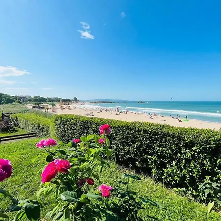 Lovely Studio Directly To Beach Area Apartment *
